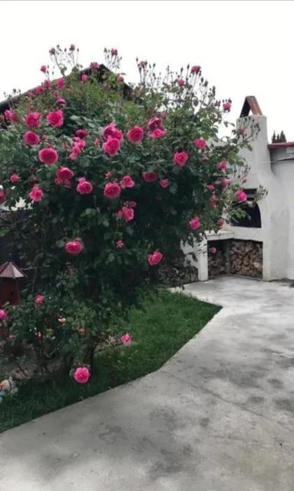 فندق Casa Tibi Si Nico إيفوري نورد المظهر الخارجي الصورة